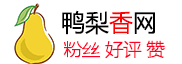 www.yyquant.com 亚马逊实施了“跨站点连坐”政策，并发布了公告，要求不得操纵销售排名，否则将承担后果自负！Instagram 电脑版登录无效，无法注册。
